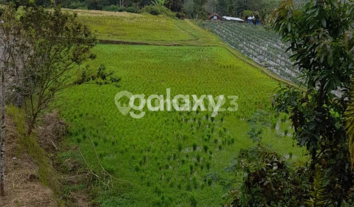 Tanah Batunya Tabanan Bali 120 Juta Perare