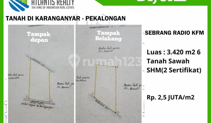 Dijual Tanah Kebun Sudah Ada Pohon Sengon, Panen 2 Tahun Lagi