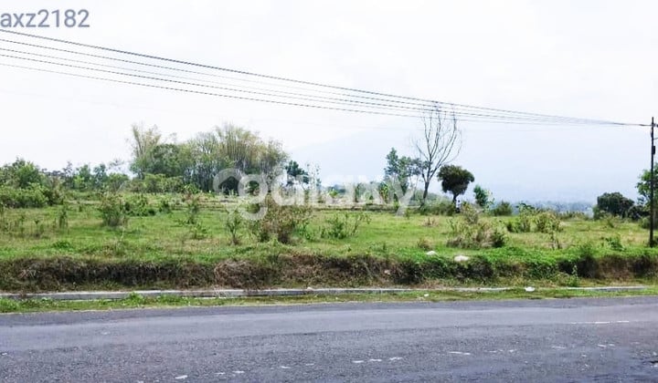 SELL LAND AT PANEKAN ROAD, MAGETAN