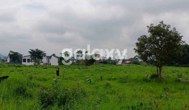 land in Malang land in Malang