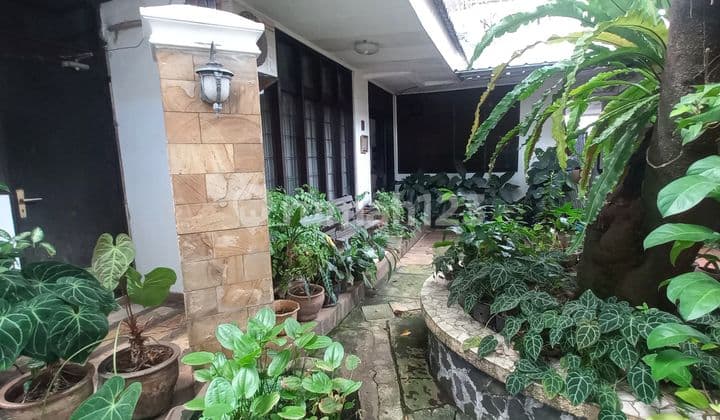 Rumah Klasik Gaya Arsitektur Tropis Modern, Cocok Healing Dgn Keluarga Besar, Hanya 90 Meter Ke Jatipadang Raya