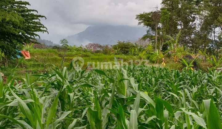 Tanah Villa di Prigen, Pasuruan, Khusus, Surabaya. Tanah Luas