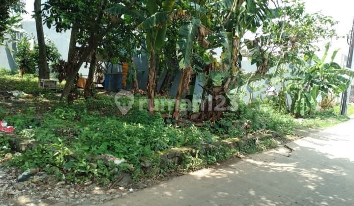 Tanah Hook di Kampung Kukusan, Depok