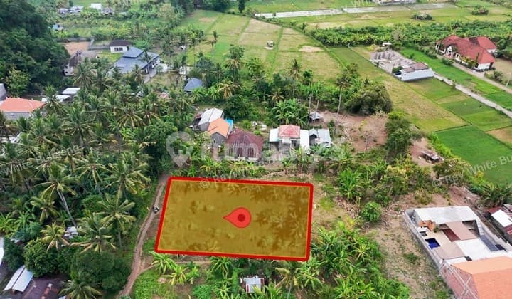 Drastically Reduced! Prime 1200 Sqm Land In Lovina. Perfect For Your Dream Villa