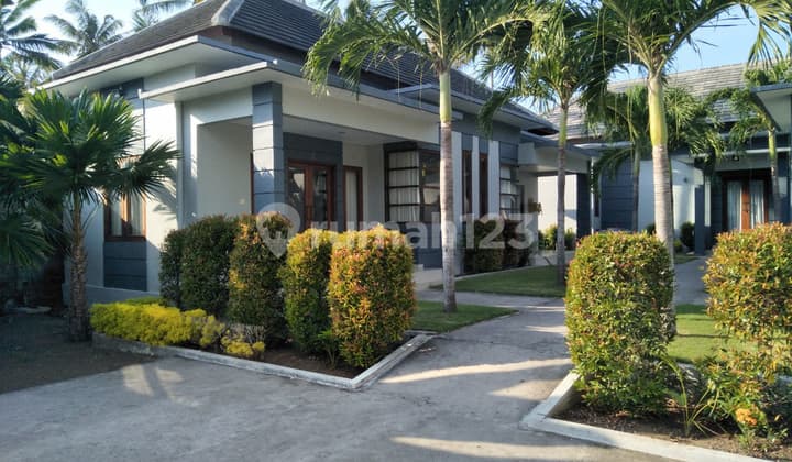 Dijual Villa Jembrana Bali Kondisi Sangat Bagus Tanah Luas Asri