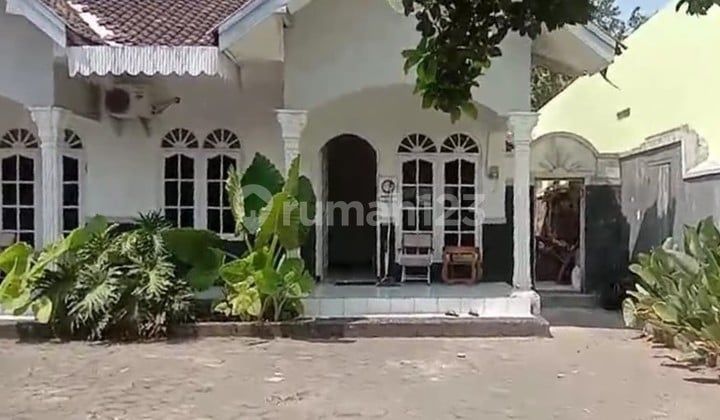 Miliki Home Stay di Tengah-Tengah Pusat Budaya Kota Jogja Suryodiningratan Yogyakarta