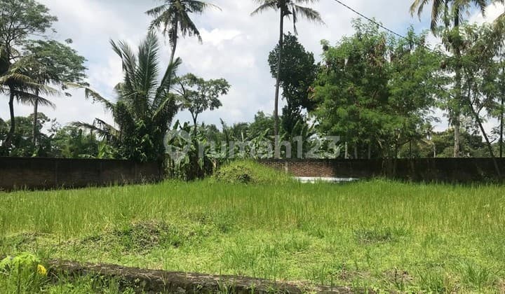 Dijual Tanah Kavling 140 Meter Persegi Strategis Dekat Kampus Uii Siap Bangun di Sardonoharjo, Ngaglik, Sleman