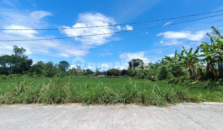 Tanah Sawah Strategis di Kebondalem Prambanan Potensi Agribisnis & Investasi Masa Depan di Madurejo, Prambanan, Sleman