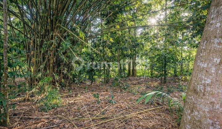 Tanah Kavling Siap Bangun di Wedomartani Sleman Lokasi Premium & Strategis, Investasi Masa Depan yang Menjanjikan