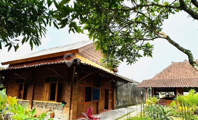Rumah Halaman Luas Bergaya Joglo Jawa di Banjarnegoro, Magelang