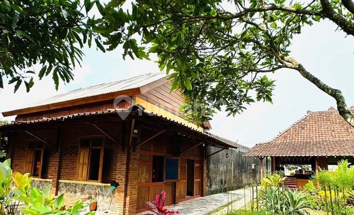 Wide-Yard Joglo Javanese Style House in Banjarnegoro, Magelang
