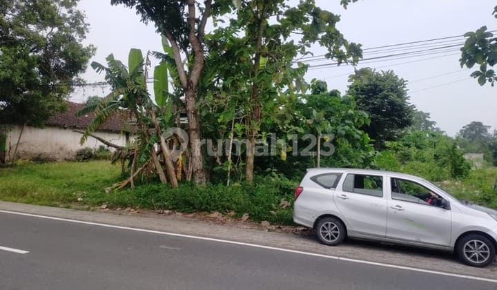 For Lease Strategic 3500 Square Meter Land on the Edge of Cangkringan Road, Kalasan - Suitable for Various Businesses