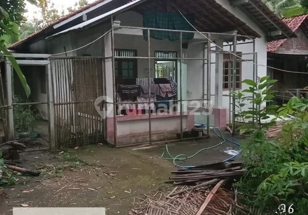 Investasi Strategis Tanah Pekarangan & Hunian Nyaman di Kutoarjo Purworejo Dekat Pusat Kota Investasi Strategis Tanah Pekarangan & Hunian Nyaman di Kutoarjo Purworejo Dekat Pusat Kota