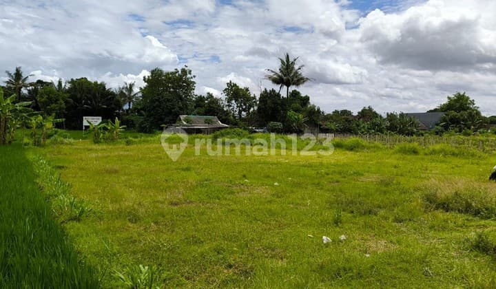 Dijual Tanah Sawah Strategis di Area Cebongan, Dekat Kantor Kelurahan, Sumberadi, Mlati, Sleman