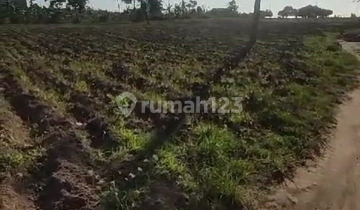 Tanah Murah diKalianda Lampung pinggir pantai