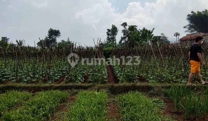 Land in Dicihanjuang, West Bandung