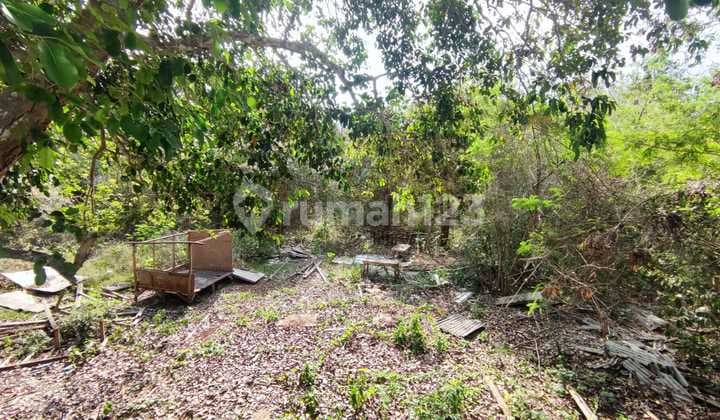Land in Ungasan Village, Badung, Bali