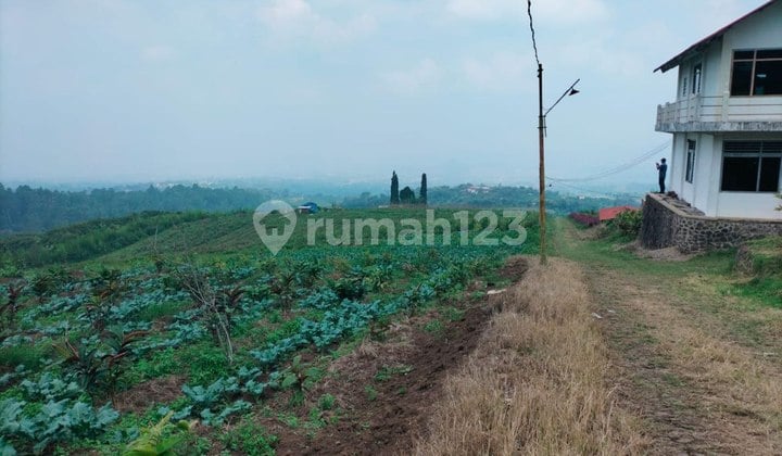 Lahan di Batu, Jawa Timur Strategis Dekat Jatim Park 1 & 3