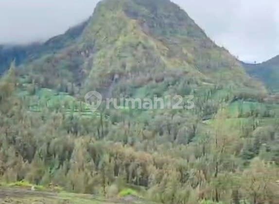Lahan Nol Jalan Sukapura - Bromo, Jawa Timur, Strategis Cocok Dibangun Hotel, Kuliner, Homestay, Villa, Dll
