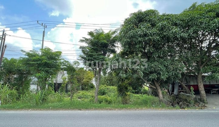 Kavling/Tanah 2,5 Ha Nol Jalan Raya Morowudi, Gresik