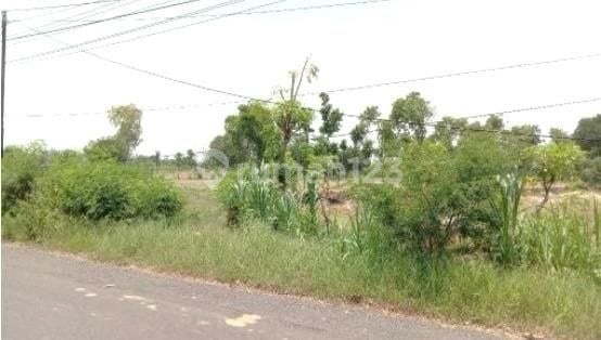 Land over 1.6 hectares on Tuban Main Road, East Java, suitable for warehouse/industry adjacent to a row of Indonesia Cement factories.