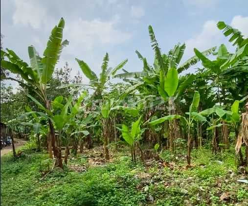 Tanah Tengah Kota Siap Pakai Kosambi Bandung