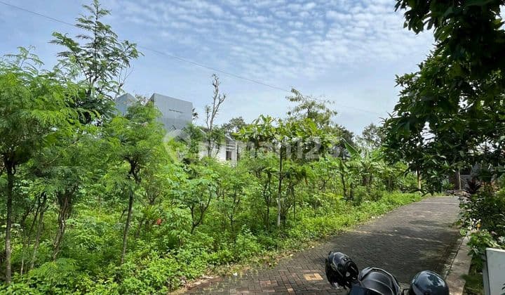 Tanah Strategis Tembalang Dekat Kampus Undip,bulusan Selatan