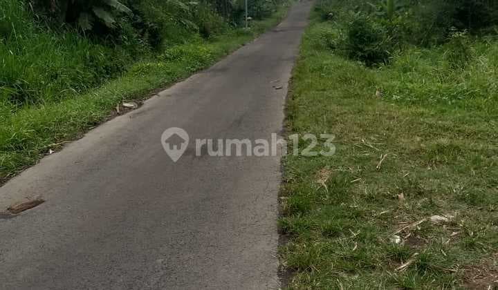 Tanah Super Murah Di Pakis.