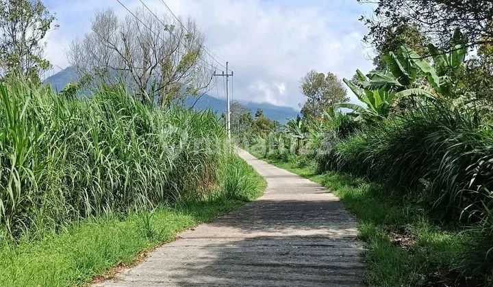 Tanah Kebun Di Ngajum Gunung Kawi