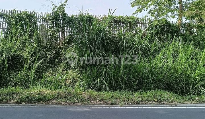 Tanah Luas Dan Murah Di Poncokusumo