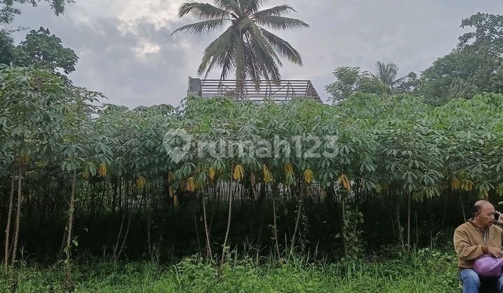 Murah Banget Tanah Pertanian di Jabung Lokasi Strategis