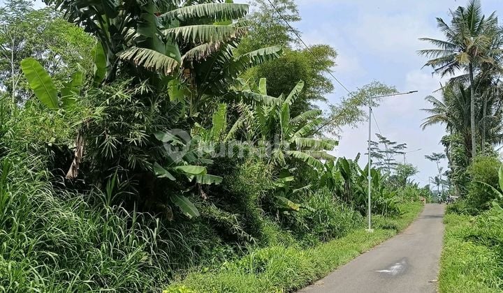 Super Murah,tanah Di Pakis