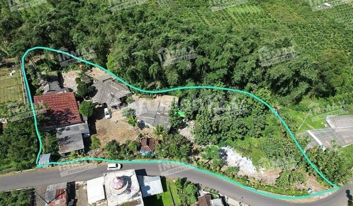 For Sale Land + Building Zero Road Petungsewu Dau Malang-Batu Strategic All Businesses Plantation, Hotel, Industry & Tourism
