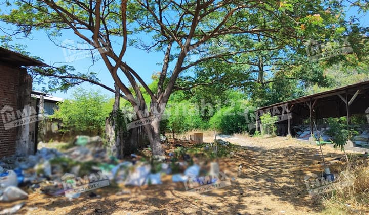 Dijual Tanah Luas Strategis 2880meter Bonus Bangunan Rumah Tenggumung Semampir Daerah Kenjeran Area Pergudangan&industri.shm Nego Keras