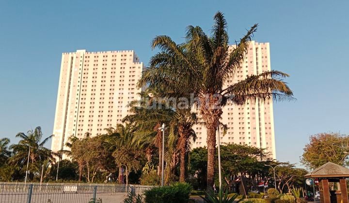 Sewa Apartment Educity Pakuwon City 2br Murah View Pool Furnished Dekat Pcm Mall, Kampus Uwm, Kampus Its, Hokky Supermarket