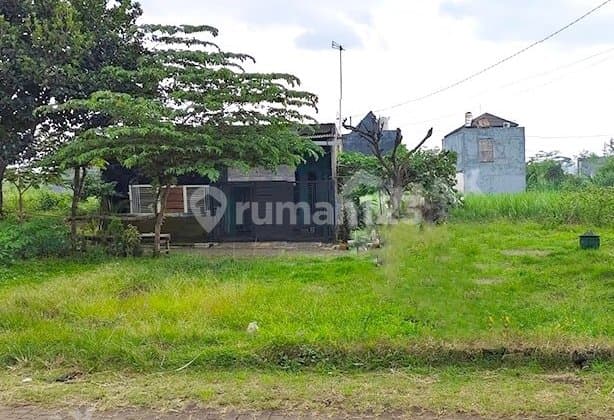 Dijual Tanah Super Murah Singosari Malang Jenis Tanah Tegal SHM Kawasan Perumahan Paving Dekat Sman1, Dkt Jalan Raya Utama Harga Masih Nego