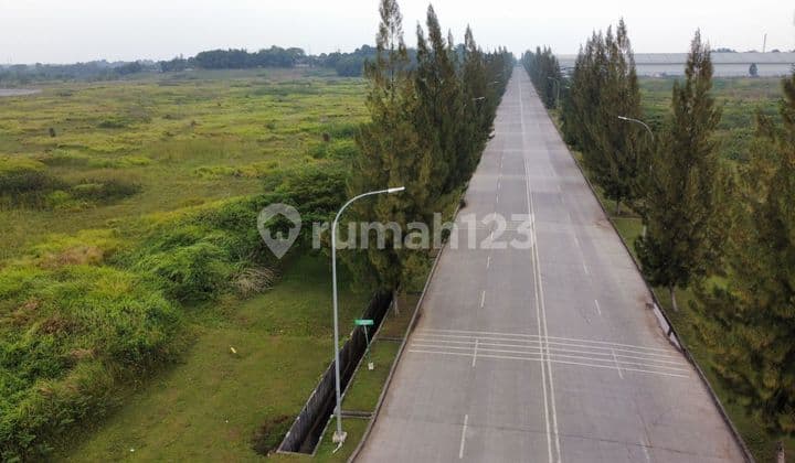 Tanah Murah Siap Bangun Di Jalan Utama Row 40 Lippo Cikarang