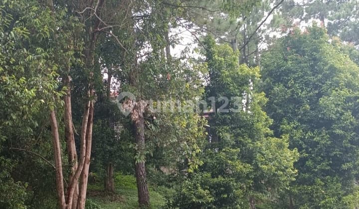 Jarang Ada Dijual Kavling Resor Dago Pakar Murah Luas 193m