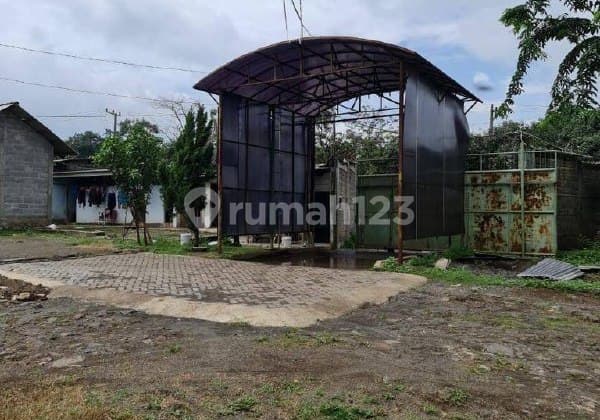 h131 Butuh Segera Laku ! Peternakan FULL CUAN ,Kawasan Pasuruan