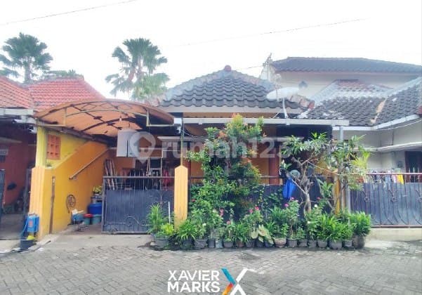 i091 Rumah Murah Lokasi Strategis Blimbing Malang