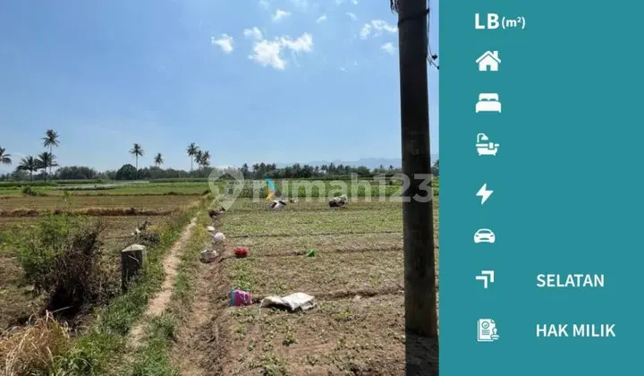 j048 Jual Cepat ! Tanah Pertanian Poros Jalan Aspal
