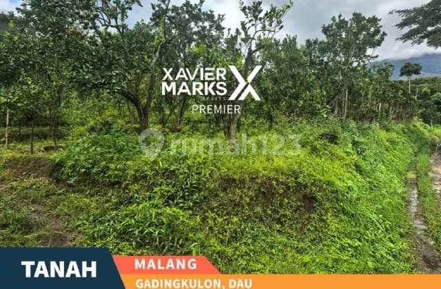J27 Tanah Dijual, Kebun Jeruk di Gadingkulon Dau Malang