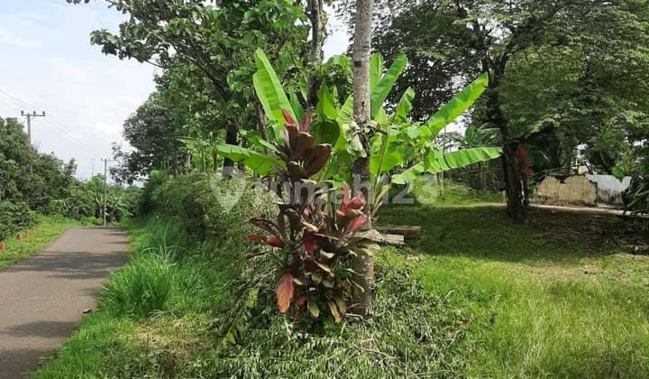 H19 Dijual Tanah Kebun Nol Jalan + Siap Dibangun