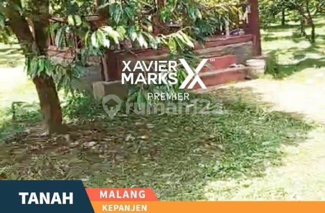 H87 Tanah Lahan Jual Harga Miring ,Full Pohon Durian Siap Panen