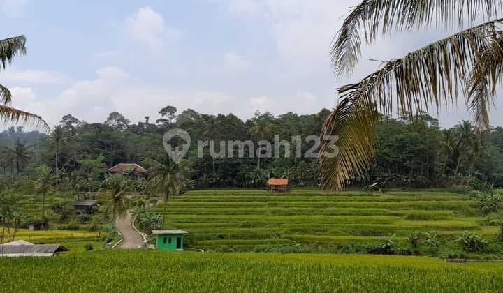 Dijual Kavling Di Pinggir Jl Kampung Babakan Kidra, Purwakarta, Jawa Barat