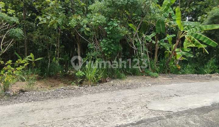 Kavling Siap Bangun Di Desa Kedung Sari Kulonprogo Jogjakarta