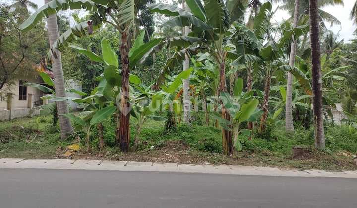 Kavling Siap Bangun Di Nagung Kedundang Kulonprogo Yogjakarta