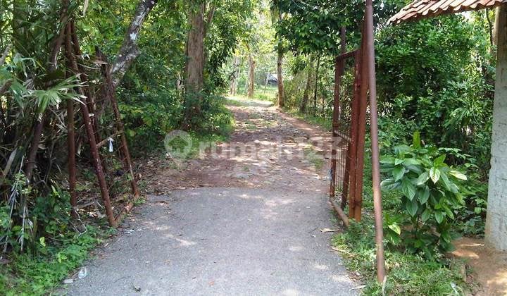 Dijual Kavling di Kampung Gardu Kolonel Bojong Tenjo