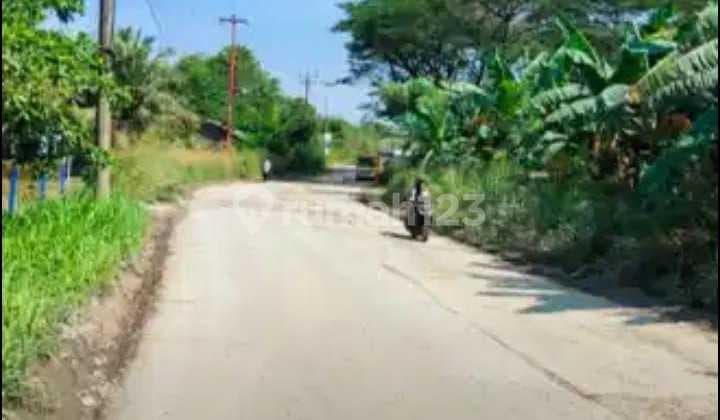 Dijual Cepat Tanah Serpong Bsd City Area