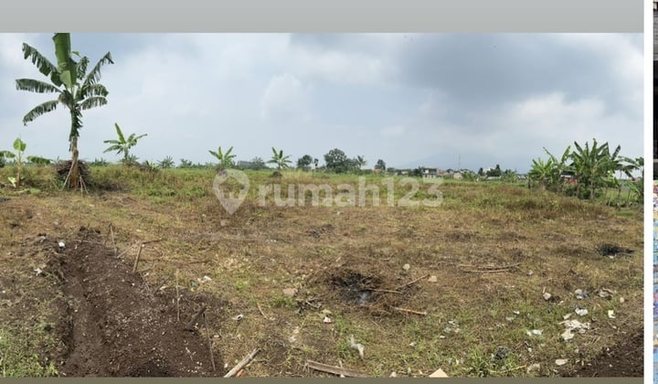 Harga Dibawah Pasar, Kavling Bogor Sebelah Cyber Nirwana Bogor